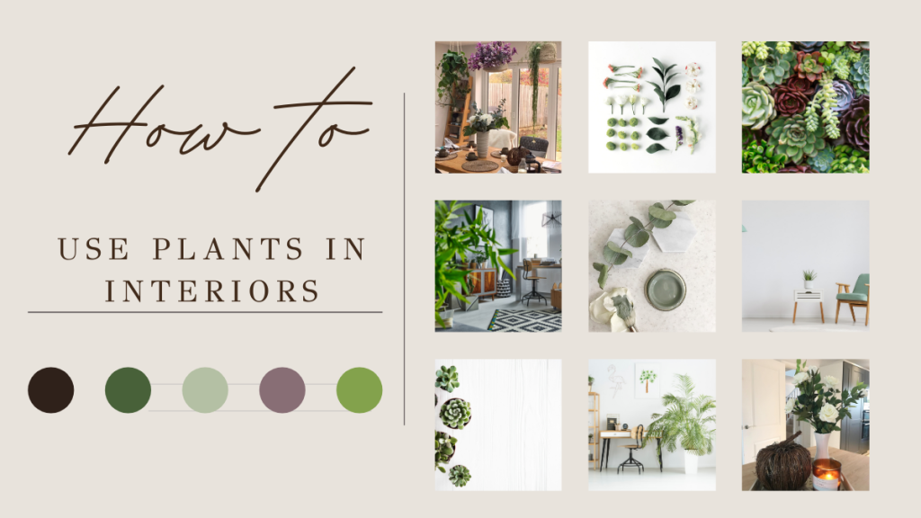 How to use plants in interior design